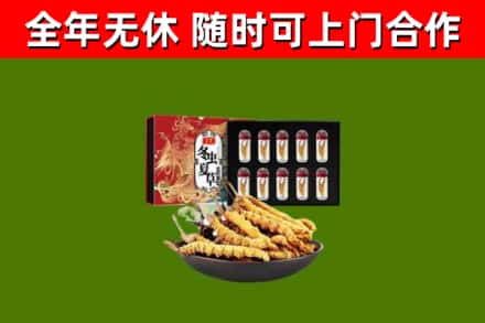 浦口回收冬虫夏草价格