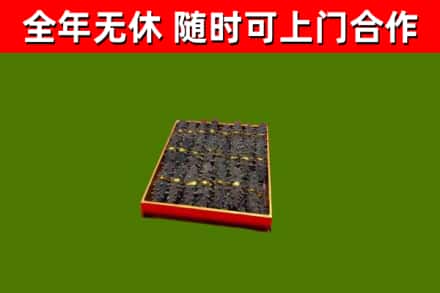 浦口回收海参